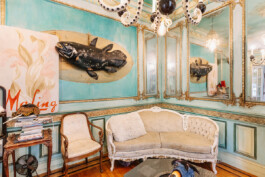 SOMAscape Studio