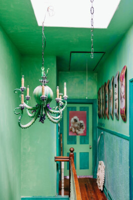 SOMAscape Studio
