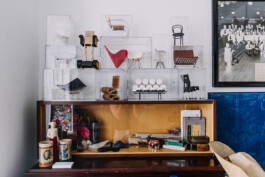 SOMAscape Studio