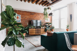 SOMAscape Studio