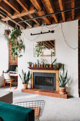 SOMAscape Studio