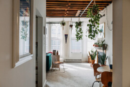 SOMAscape Studio