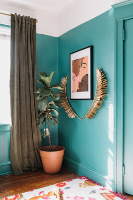 SOMAscape Studio
