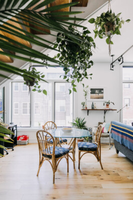 SOMAscape Studio