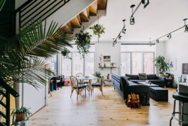 SOMAscape Studio