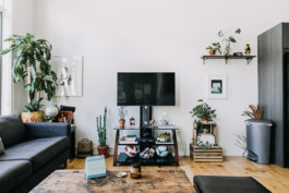 SOMAscape Studio