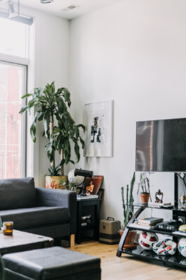 SOMAscape Studio