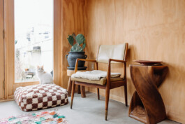 SOMAscape Studio