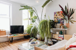 SOMAscape Studio