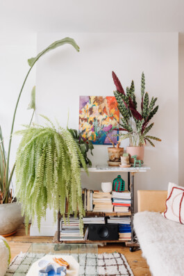 SOMAscape Studio