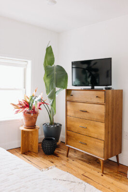 SOMAscape Studio