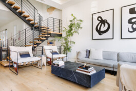 SOMAscape Studio