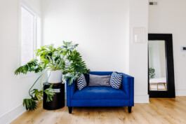 SOMAscape Studio