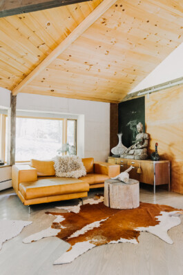 SOMAscape Studio