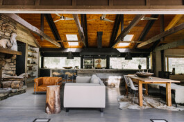 SOMAscape Studio
