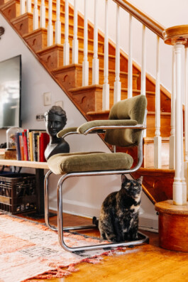 SOMAscape Studio