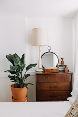 SOMAscape Studio