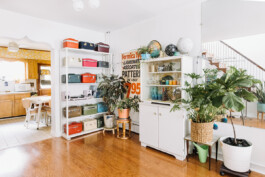 SOMAscape Studio