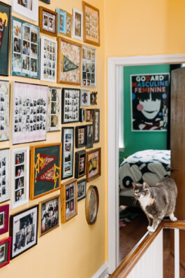 SOMAscape Studio