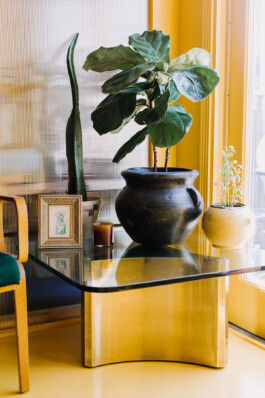 SOMAscape Studio
