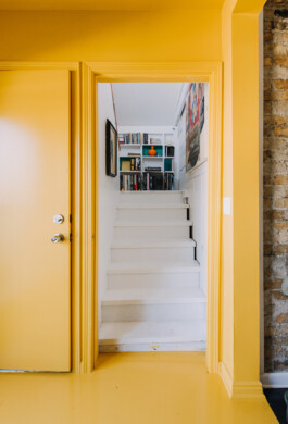 SOMAscape Studio