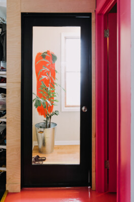SOMAscape Studio