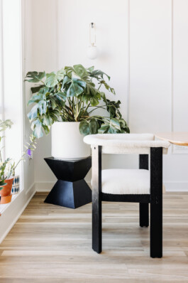 SOMAscape Studio