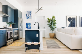 SOMAscape Studio