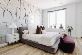 SOMAscape Studio
